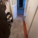 Изображние 3