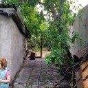Изображние 5